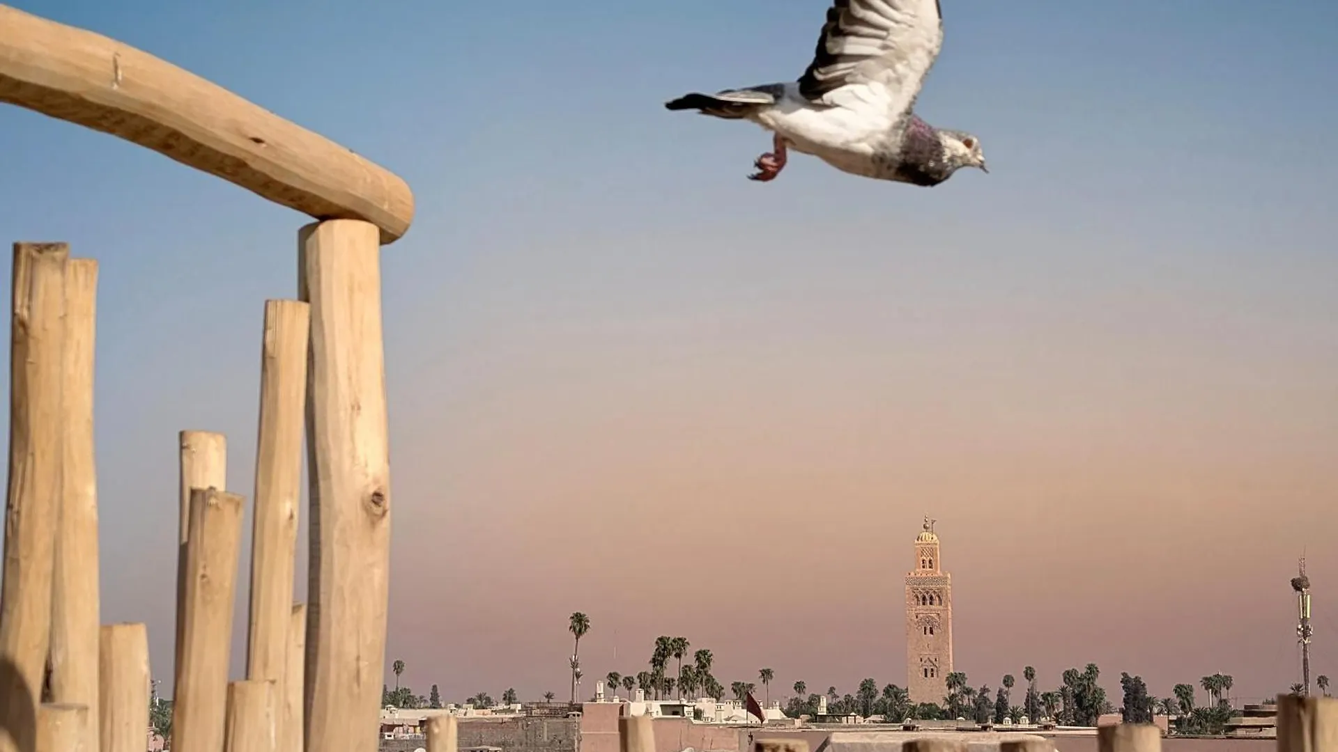 Villa Riad Lisa 6 Personnes Marrakesh